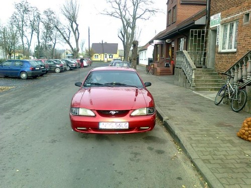 Zdjęcie6155.jpg