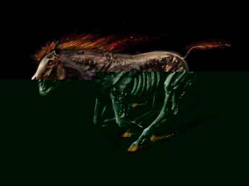 mustang horse.jpg