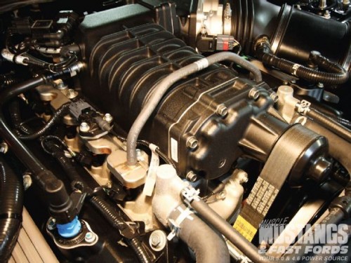 mmfp_1009_02_o+2010_ford_mustang_shelby_gt500+eaton_m122_supercharger.jpg