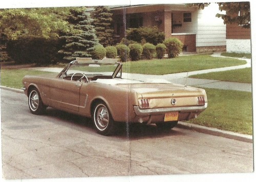 65 mustang_old_3.jpg