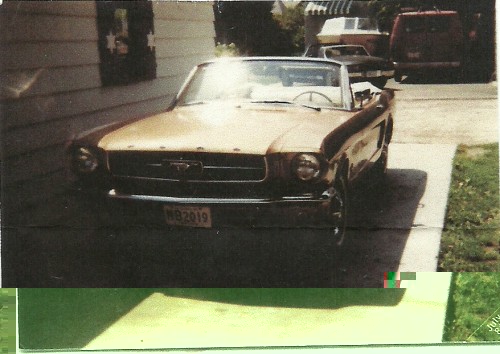 65 mustang_old_1.jpg