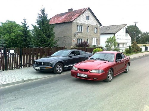 Zdjęcie11144.jpg
