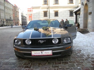 Stang i Młodzi.JPG